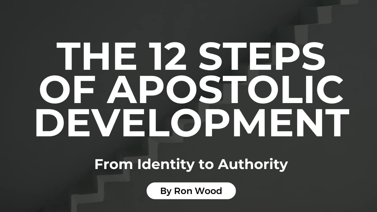 The 12 Steps of Apostolic Development Image